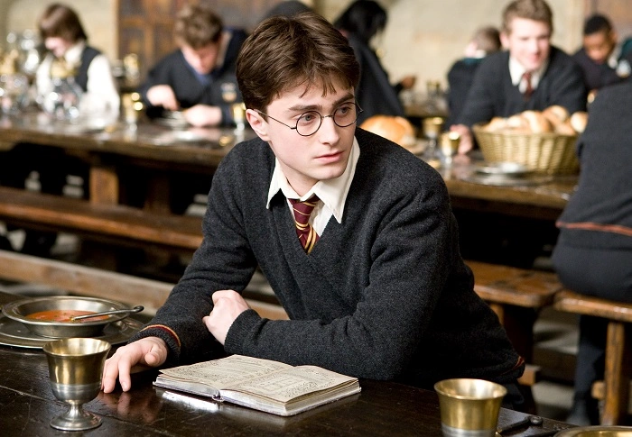 Harry Potter Bio / Wiki Table