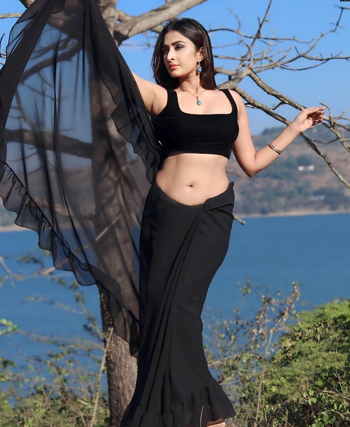 Farnaz Shetty Bio / Wiki Table