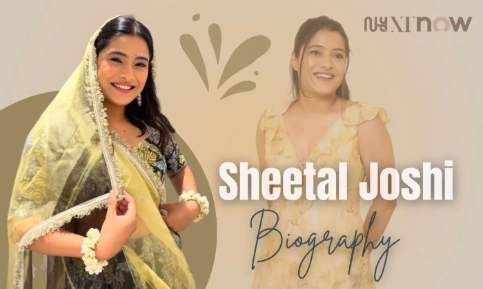 Sheetal Joshi Career Journey