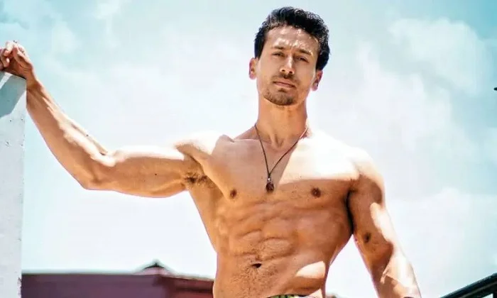 Tiger Shroff Quick Bio